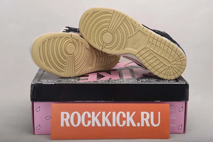 Travis Scott x Nike SB Dunk Low TS CT5053-001