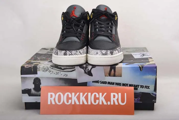 Air Jordan 3 SE “Animal Instinct 2.0” CV3583-003