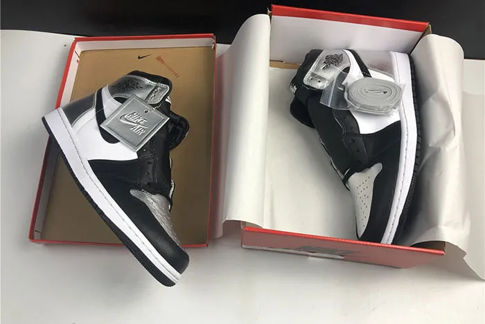 Air Jordan 1 High OG Silver Toe CD0461 001