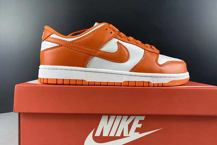 Nike Dunk SB low CU1726-101
