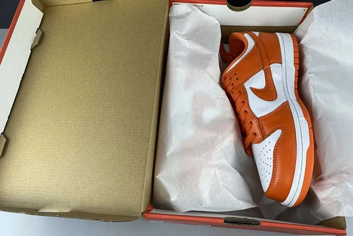 Nike Dunk SB low CU1726-101