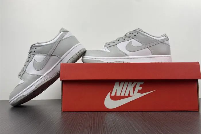 NIKE DUNK LOW GREY FOG DD1391 103