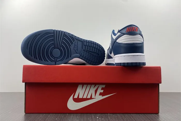 NIKE DUNK LOW VALERIAN BLUE DD1391 400
