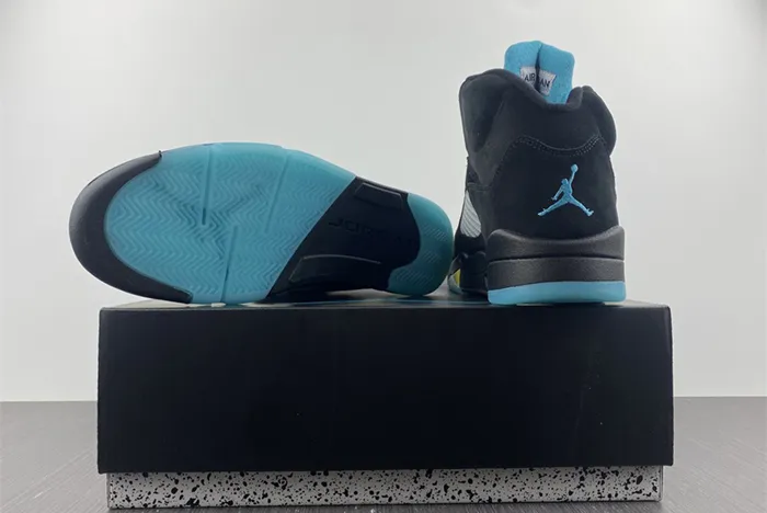 Air Jordan 5 Aqua DD0587-047