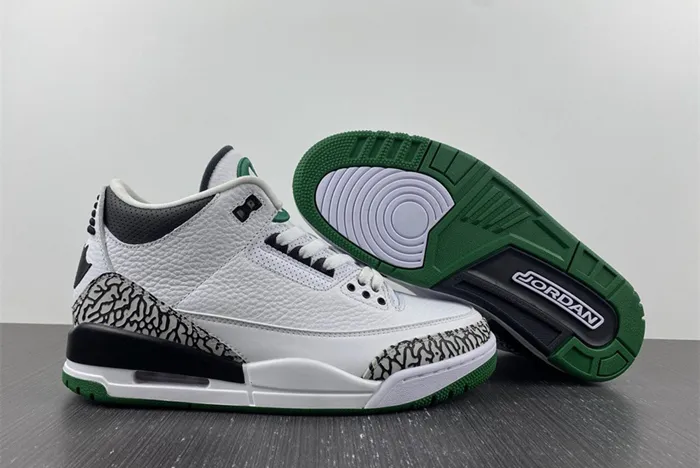 Air Jordan 3 retro Oregon PIT Crew 594282-233