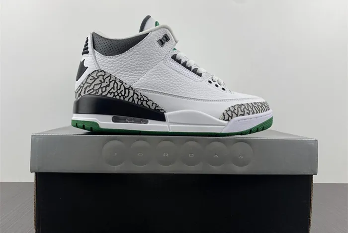 Air Jordan 3 retro Oregon PIT Crew 594282-233