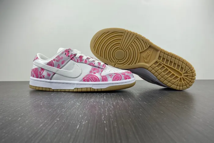 Nike SB Dunk Low Retro SP CT5053-061