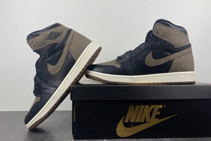 Air Jordan 1 High OG Palomino DZ5485-020