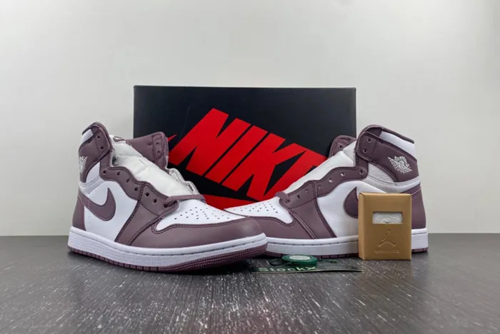 Air Jordan 1 High OG Mauve DZ5485-105