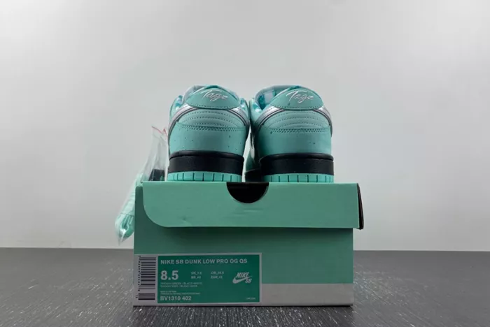 concepts x T*f*ny co. x nike sb dunk low bv1310-402