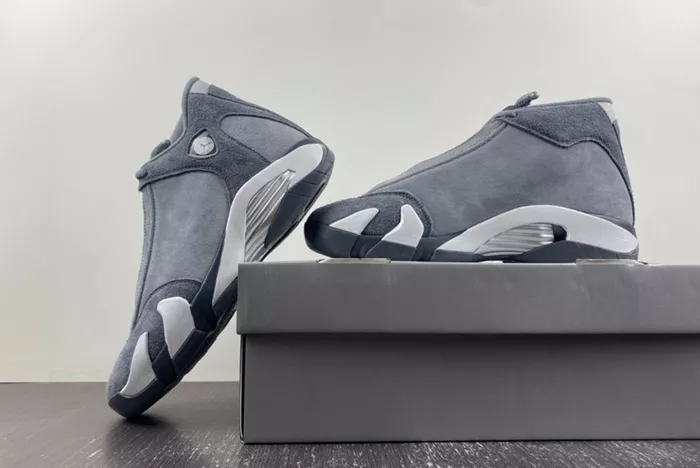 Air Jordan 14 Gool Gray FJ3460-012