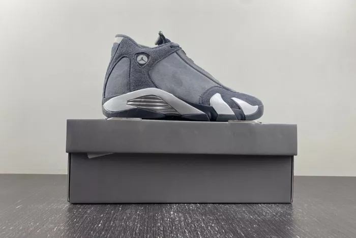 Air Jordan 14 Gool Gray FJ3460-012
