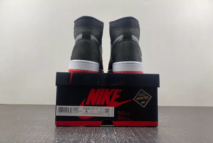 Air Jordan 1 Element Bred DB2889-002