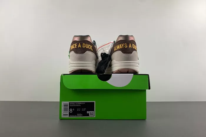 Nike Air Max 1